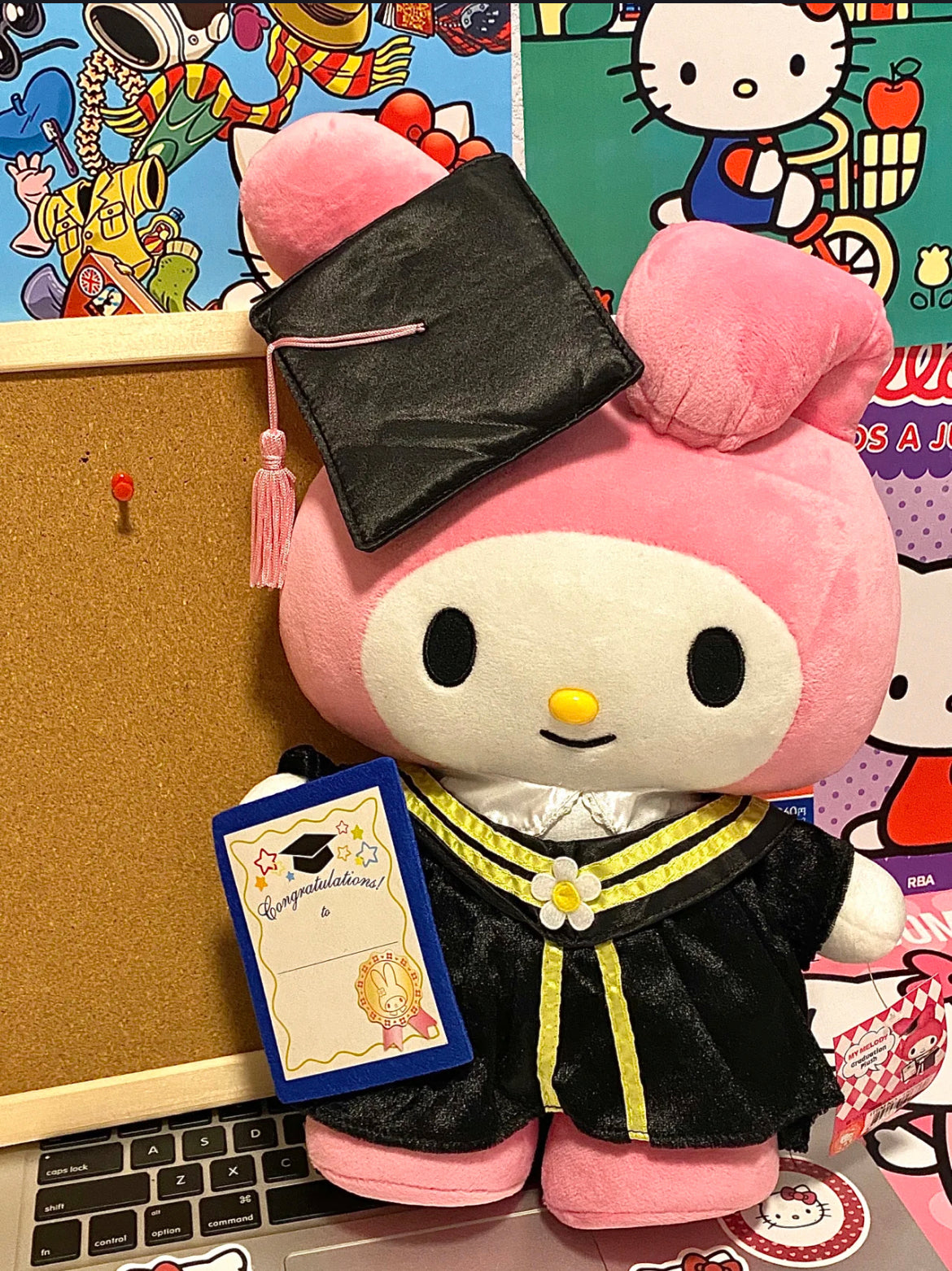 Graduate Plushie - Sanrio characters